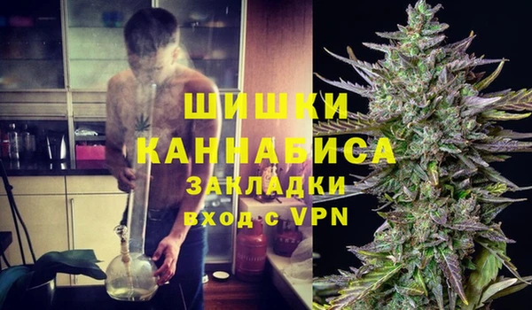 молекула духа Бугульма