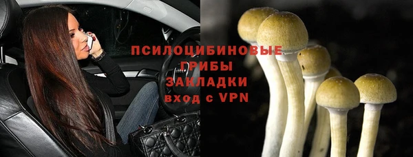 молекула духа Бугульма