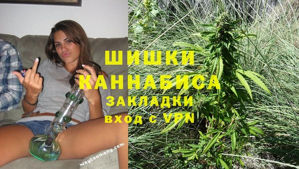 молекула духа Бугульма