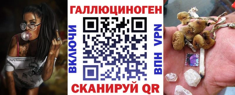Псилоцибиновые грибы Psilocybine cubensis  Мичуринск 